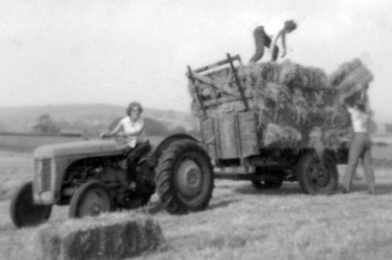 Haytime Cowbridge - 1960s.jpg - At Cow Bridge in 1960's. Shiela Glossop Driving, Jean Wilkinson is on the trailer  and thought to be the late William Clarke putting the bales on.